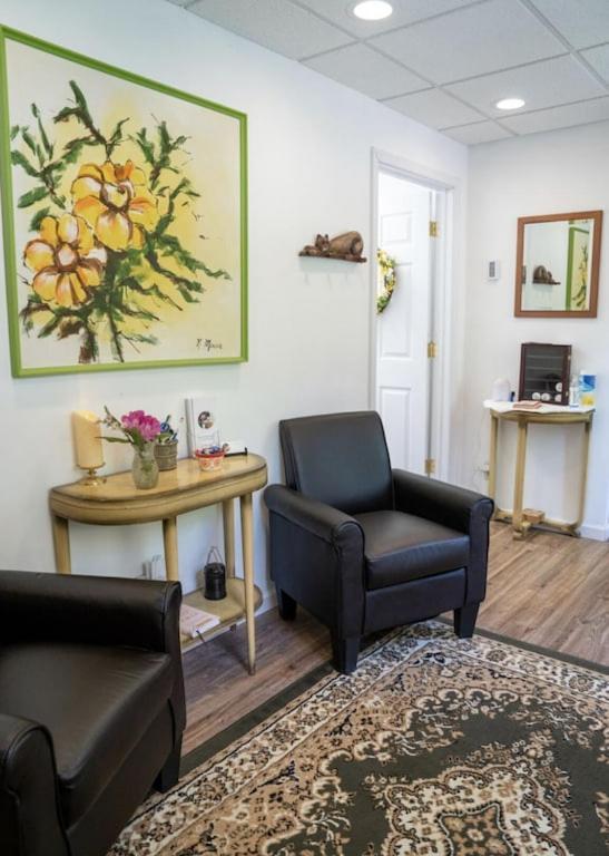 Mockingbird Mountain Spa And Retreat Luray Exterior photo